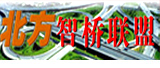 北方智橋聯盟