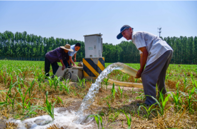 采取活躍措施經過調度水源抗旱噴防等方式竭盡全力保夏收