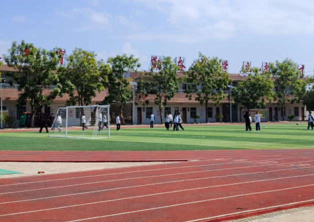 積極構建德智體美勞全面培育的教育體系形成體教交融產教協同