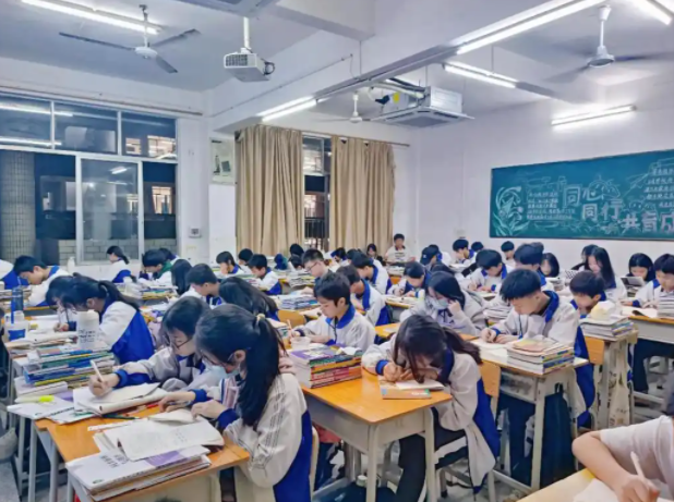 積極構建德智體美勞全面培育的教育體系形成體教交融產教協同