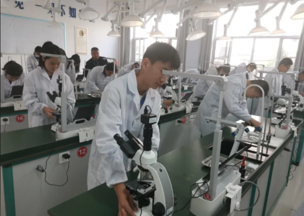 優(yōu)化評(píng)價(jià)機(jī)制突出在教師教學(xué)評(píng)價(jià)中跨學(xué)科教學(xué)成果的權(quán)重